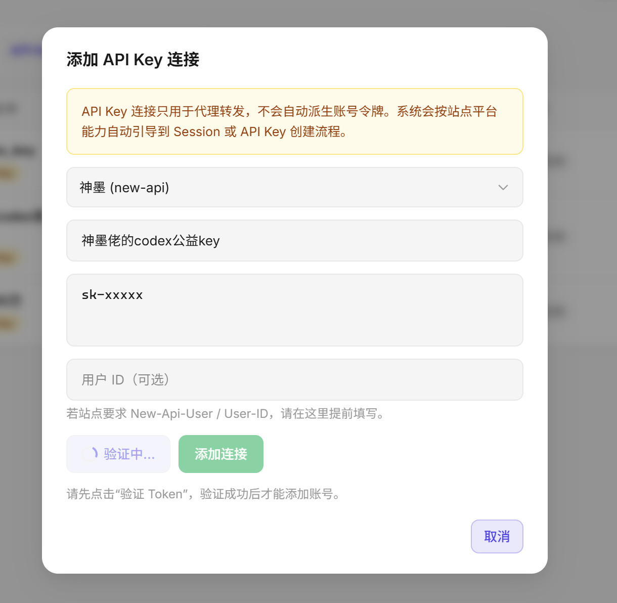 API Key 管理